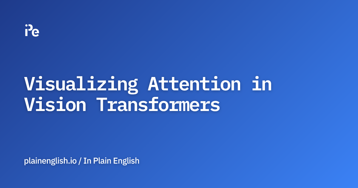 Visualizing Attention in Vision Transformers