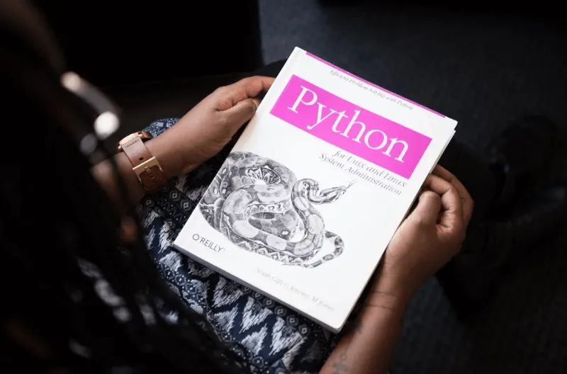 Image of a Python textbook