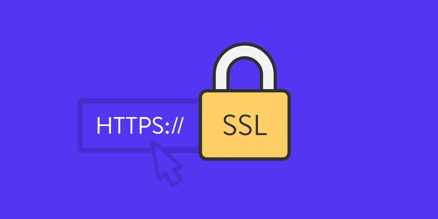 Image of a URL search bar, with a padlock that says SSL on it