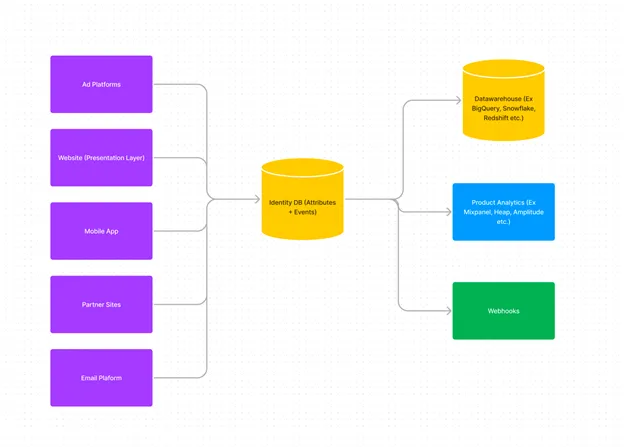 The data layer