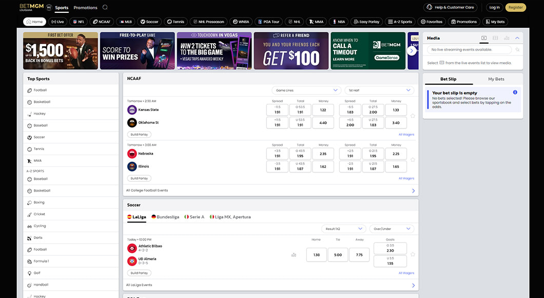 MGM sports betting website